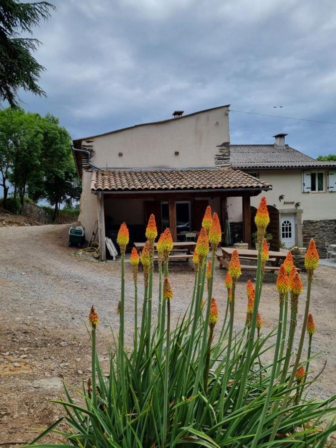 L'Oeil De Carcassonne Villa Caudebronde Buitenkant foto